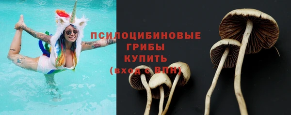 ECSTASY Медногорск