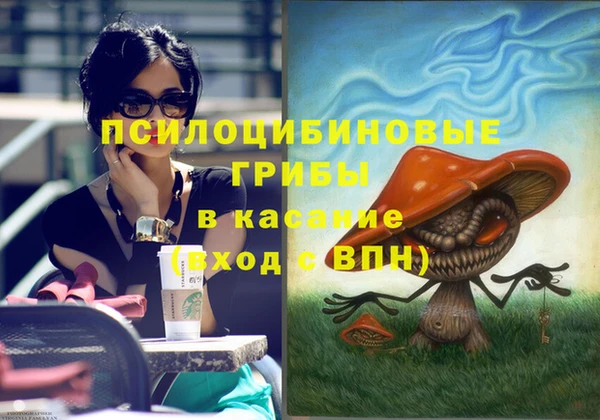 mdpv Мегион