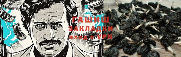 МДМА Медвежьегорск