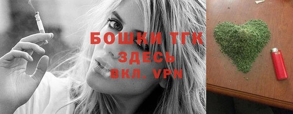 ECSTASY Медногорск