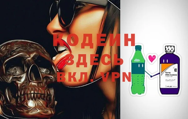ГАЛЛЮЦИНОГЕННЫЕ ГРИБЫ Щучье