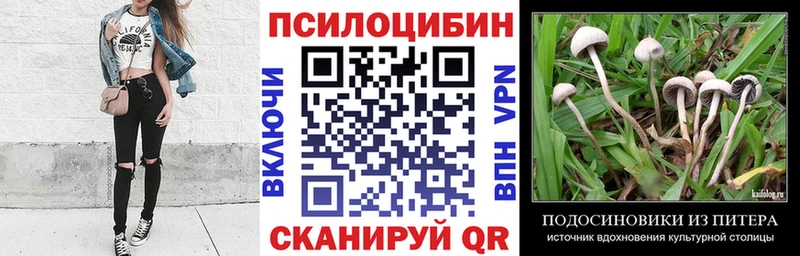 маркетплейс состав  Суоярви  Галлюциногенные грибы Psilocybe 